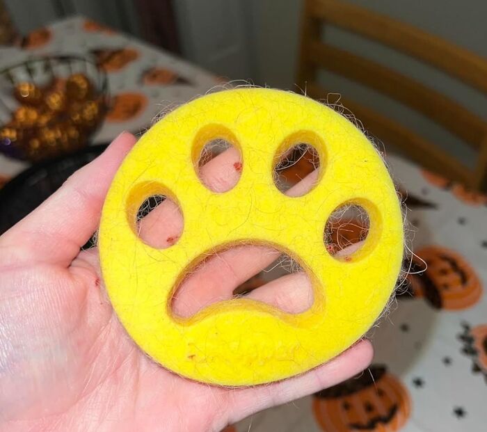 The Great Panda Haul: 50 Treasures Under $50 Our Community Can’t Stop Buying The Great Panda Haul: 50 Treasures Under $50 Our Community Can’t Stop Buying