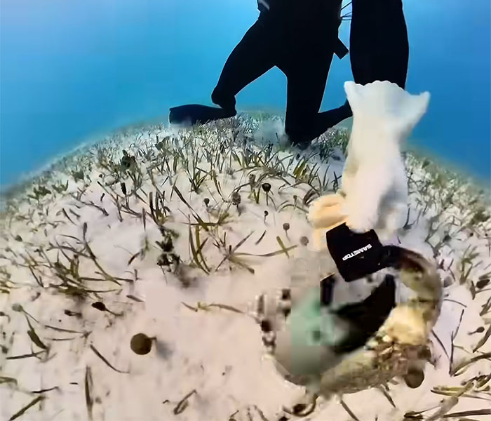 People Online Are Very Amused By This Crab Who Stole A Camera And Went On Filming His Adventures People Online Are Very Amused By This Crab Who Stole A Camera And Went On Filming His Adventures