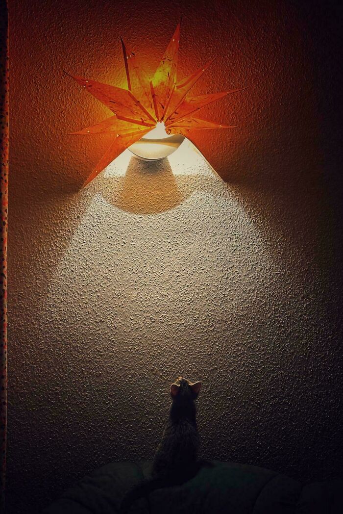 35 Times People Caught ‘Accidental Renaissance’ On Camera (New Pics) 35 Times People Caught ‘Accidental Renaissance’ On Camera (New Pics)