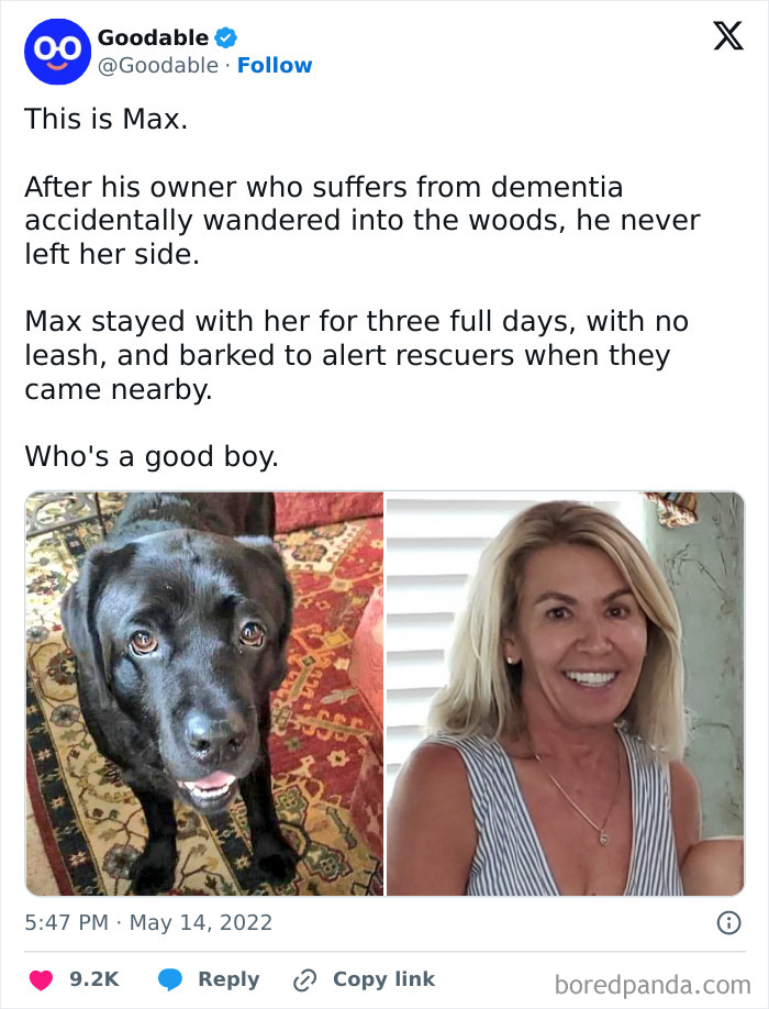 50 Of The Most Interesting And Fascinating Facts And Images Shared On “Be Amazed” (New Pics) 50 Of The Most Interesting And Fascinating Facts And Images Shared On “Be Amazed” (New Pics)