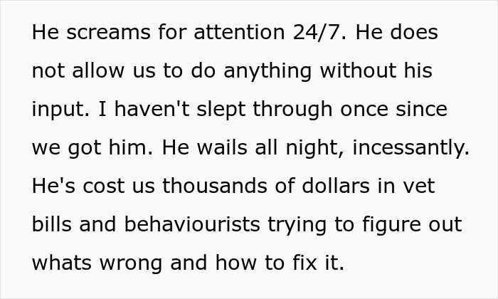Man Loses Patience Over Wife’s “Frustratingly Annoying” Cat, Gives Her An Ultimatum Man Loses Patience Over Wife’s “Frustratingly Annoying” Cat, Gives Her An Ultimatum