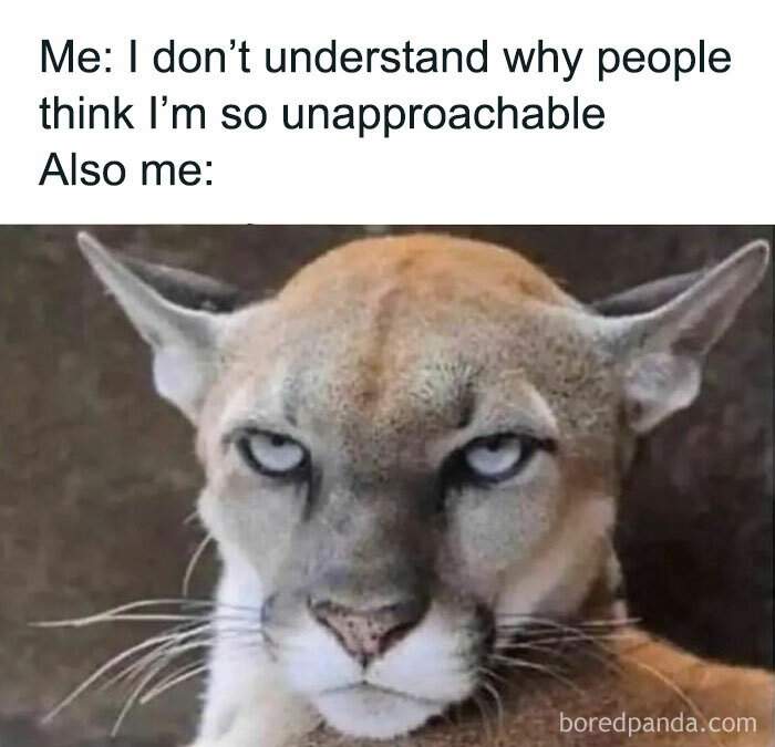 40 Of The Funniest And Most Relatable Introvert Memes Shared On This IG Page (New Pics) 40 Of The Funniest And Most Relatable Introvert Memes Shared On This IG Page (New Pics)