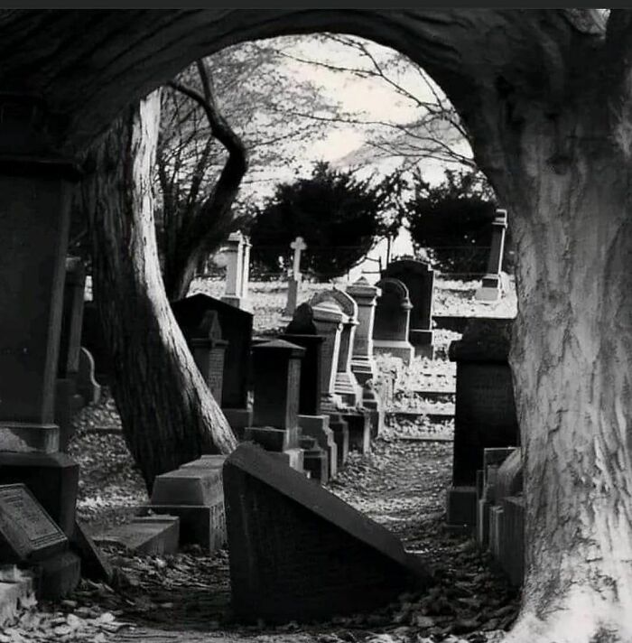 In Honor Of Halloween, Here Are 30 Silly And Spooky Pics And Memes In Honor Of Halloween, Here Are 30 Silly And Spooky Pics And Memes