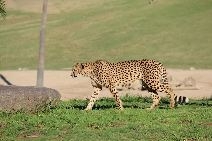 28 ‘For Rich Guys Only’ Fads That Other People Find Nothing But Weird And Stupid 28 ‘For Rich Guys Only’ Fads That Other People Find Nothing But Weird And Stupid