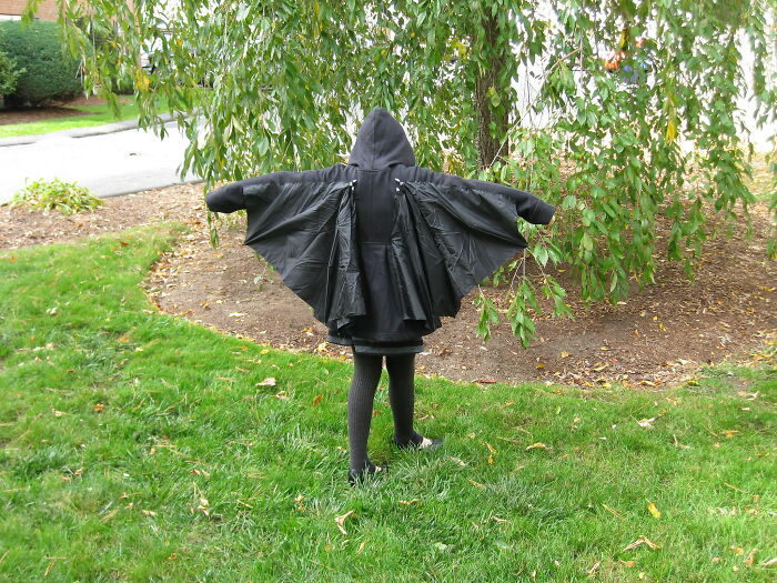 28 ‘For Rich Guys Only’ Fads That Other People Find Nothing But Weird And Stupid 28 ‘For Rich Guys Only’ Fads That Other People Find Nothing But Weird And Stupid