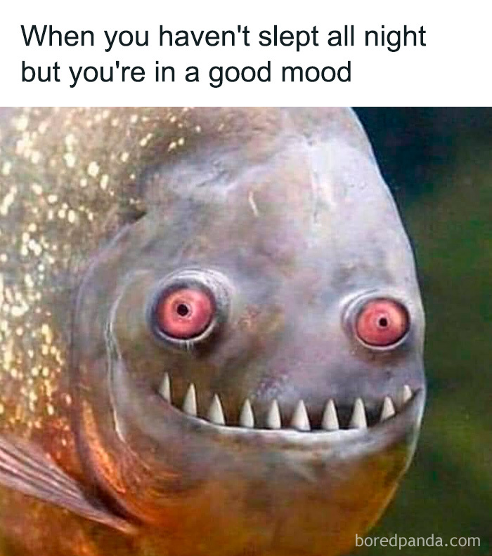 If You Desperately Need A Laugh Today, These 50 Memes Might Just Do The Trick If You Desperately Need A Laugh Today, These 50 Memes Might Just Do The Trick