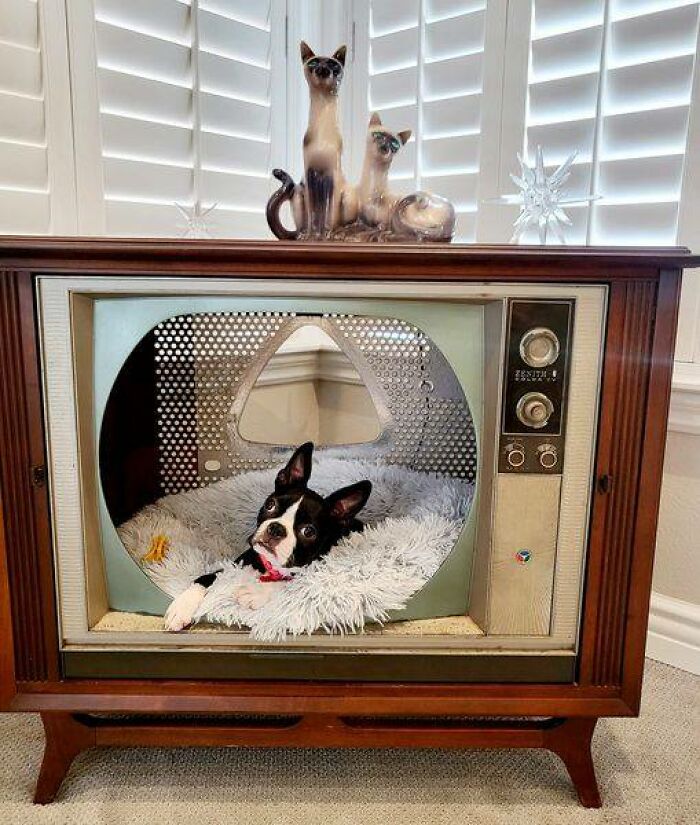 50 Times People Found The Funniest And Weirdest Things While Shopping Secondhand 50 Times People Found The Funniest And Weirdest Things While Shopping Secondhand