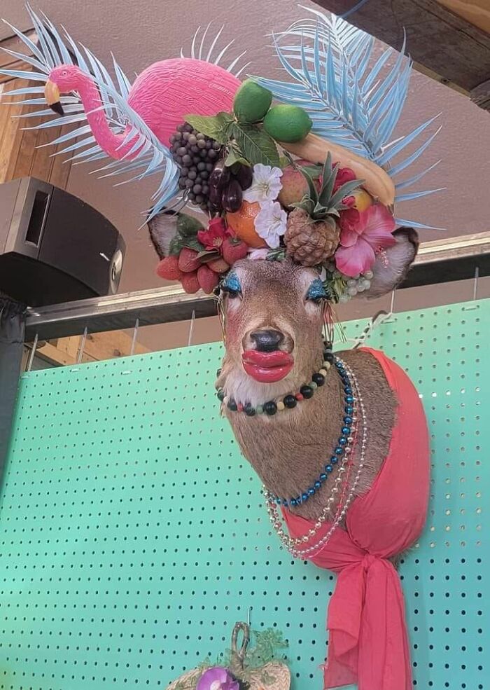 50 Times People Found The Funniest And Weirdest Things While Shopping Secondhand 50 Times People Found The Funniest And Weirdest Things While Shopping Secondhand