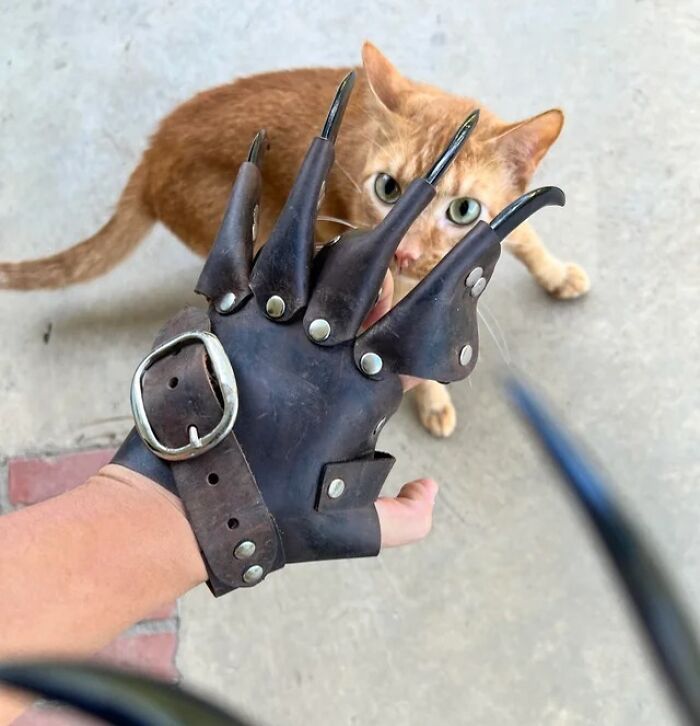 50 Times People Found The Funniest And Weirdest Things While Shopping Secondhand 50 Times People Found The Funniest And Weirdest Things While Shopping Secondhand