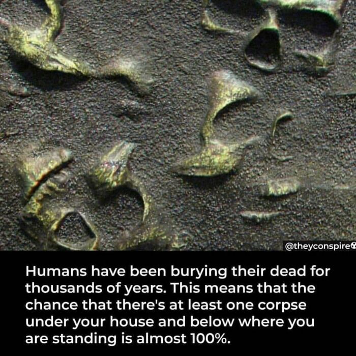 40 Horror Stories And Facts That Might Give You Goosebumps, As Shared On This IG Account 40 Horror Stories And Facts That Might Give You Goosebumps, As Shared On This IG Account