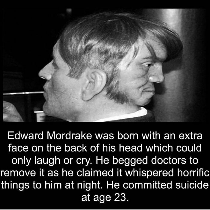 40 Horror Stories And Facts That Might Give You Goosebumps, As Shared On This IG Account 40 Horror Stories And Facts That Might Give You Goosebumps, As Shared On This IG Account