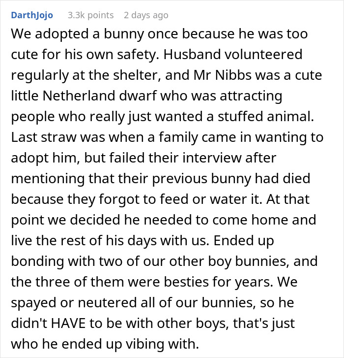 Girl Loses It When Woman Adopts A Cat She Wanted At The Shelter As Punishment For Torturing It Girl Loses It When Woman Adopts A Cat She Wanted At The Shelter As Punishment For Torturing It