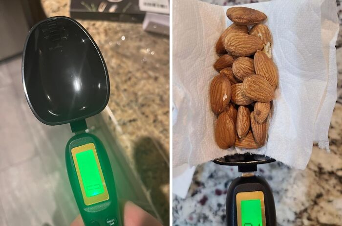 Pandas Are Giving These 23 Kitchen Finds The Chef’s Kiss Pandas Are Giving These 23 Kitchen Finds The Chef’s Kiss