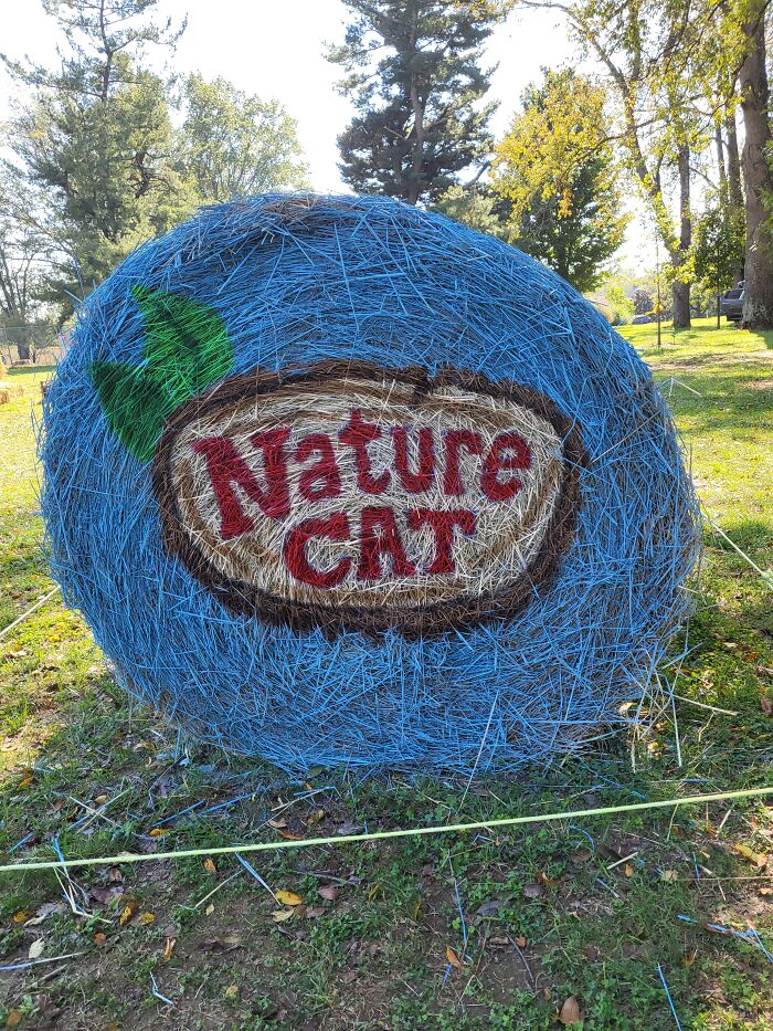 My Halloween Hay Bale Art To Brighten Your Day (12 New Pics) My Halloween Hay Bale Art To Brighten Your Day (12 New Pics)