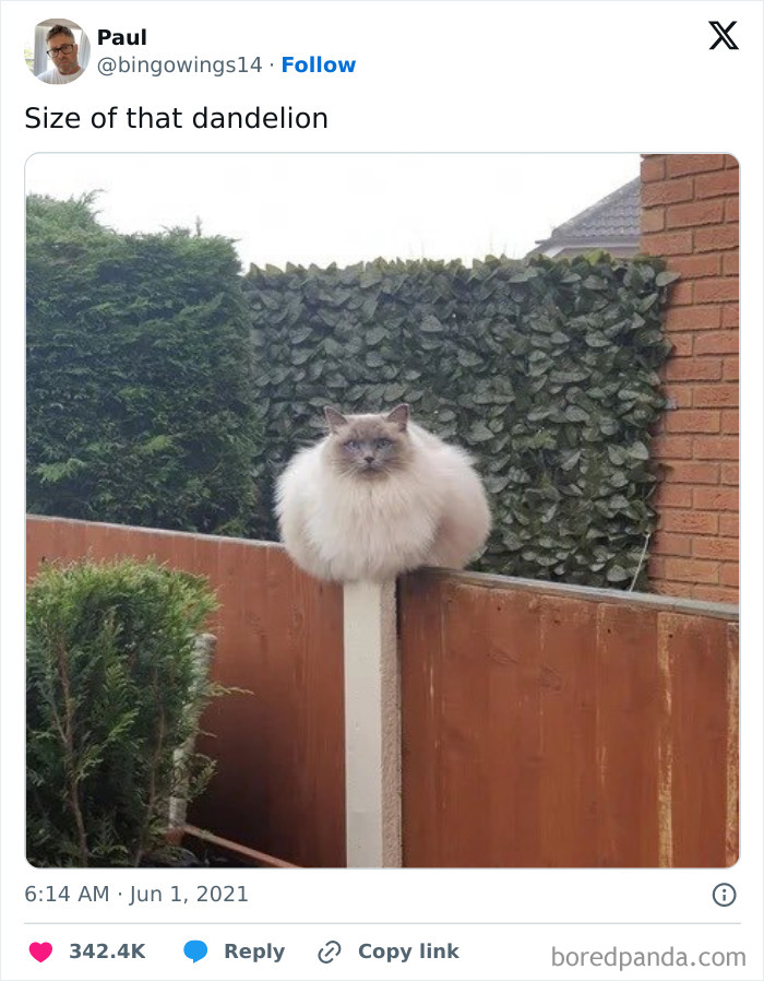 50 Funny “Great British Memes” To Crack You Up 50 Funny “Great British Memes” To Crack You Up