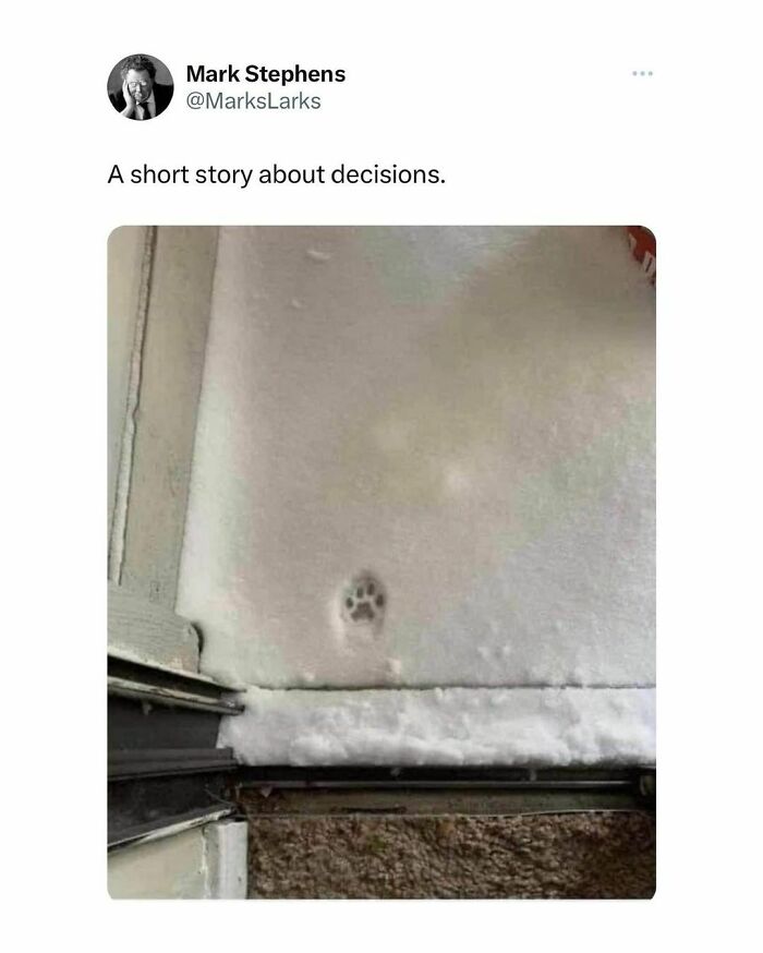 50 Funny “Great British Memes” To Crack You Up 50 Funny “Great British Memes” To Crack You Up