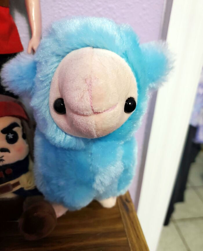 50 Epic Toy Design Fails That Are So Bad, It’s Actually Funny (New Pics) 50 Epic Toy Design Fails That Are So Bad, It’s Actually Funny (New Pics)