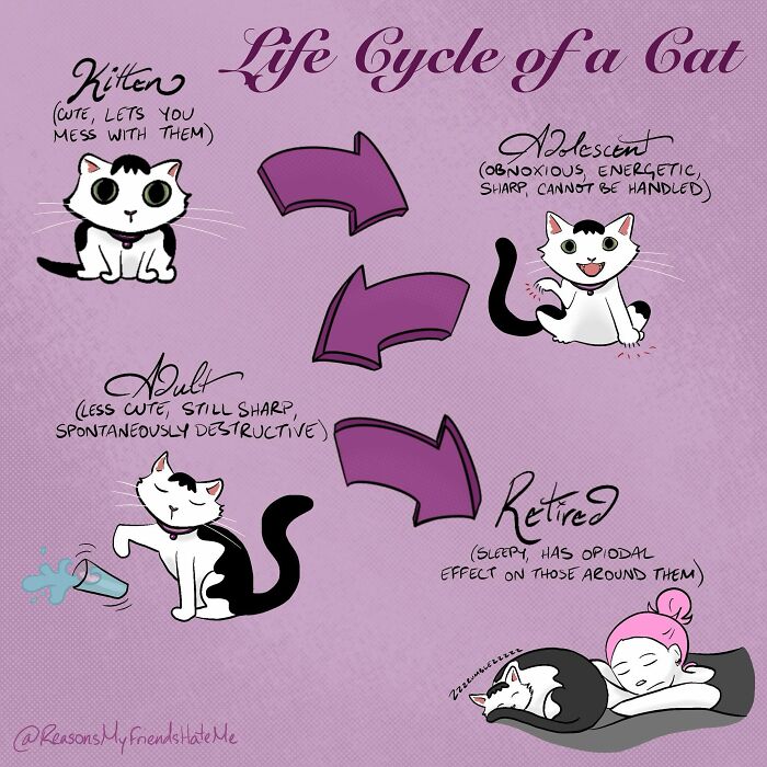 ‘Reasons My Friends Hate Me’: 25 Comics About Self-Deprecating Humor By Aylia Colwell ‘Reasons My Friends Hate Me’: 25 Comics About Self-Deprecating Humor By Aylia Colwell