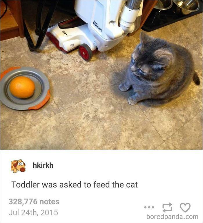 50 Of The Most Hilarious Fails Following “An Attempt Being Made” (Best Of All Time) 50 Of The Most Hilarious Fails Following “An Attempt Being Made” (Best Of All Time)