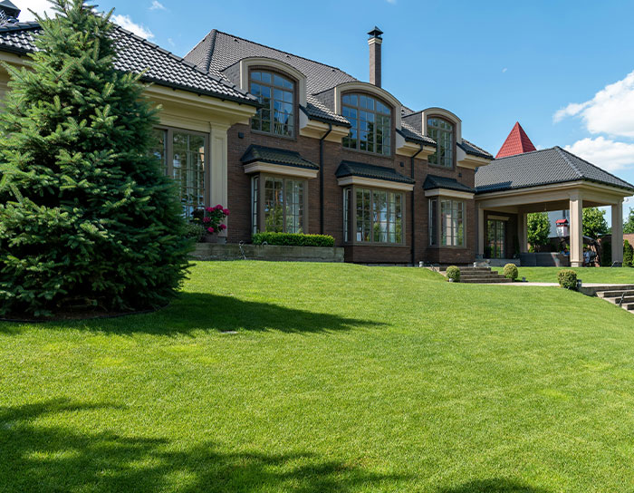 “Diamonds”: 35 Old Trends That Many People Don’t Realize Are Harmful “Diamonds”: 35 Old Trends That Many People Don’t Realize Are Harmful