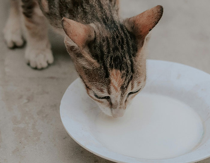 “Diamonds”: 35 Old Trends That Many People Don’t Realize Are Harmful “Diamonds”: 35 Old Trends That Many People Don’t Realize Are Harmful