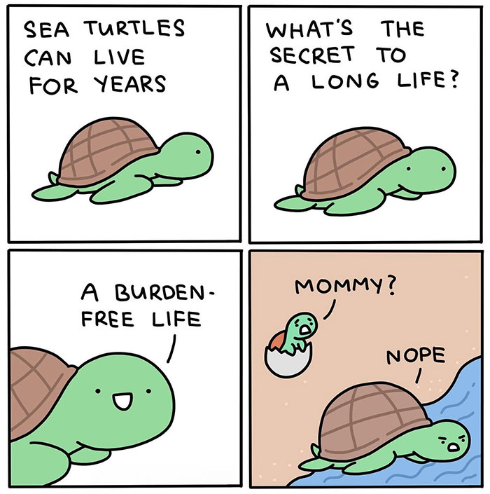 20 Turtle Memes: Slow, Steady, And Absolutely Hilarious 20 Turtle Memes: Slow, Steady, And Absolutely Hilarious