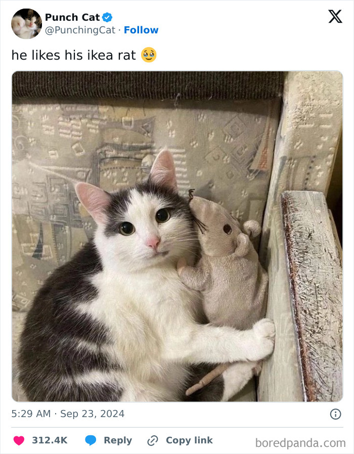 The World May Be Negative Sometimes, So Here Are 34 Adorable Tweets That May Bring Some Joy The World May Be Negative Sometimes, So Here Are 34 Adorable Tweets That May Bring Some Joy