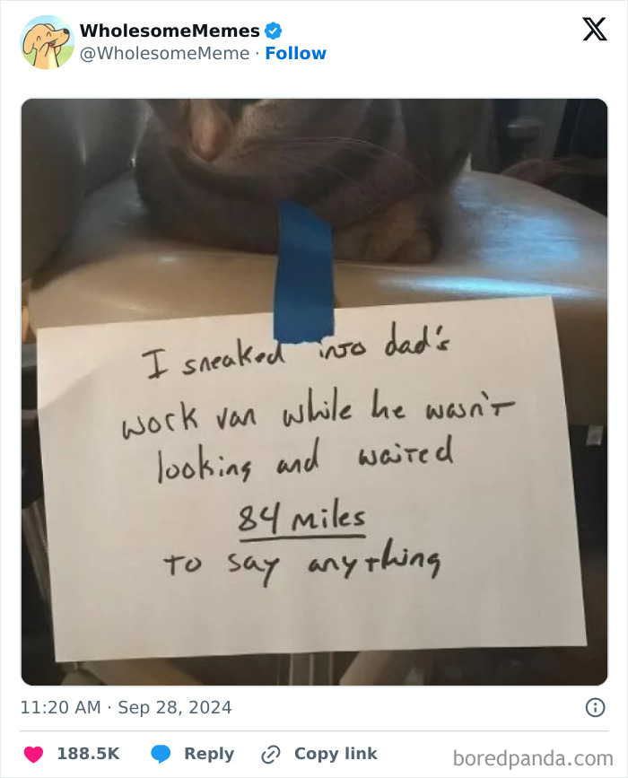 The World May Be Negative Sometimes, So Here Are 34 Adorable Tweets That May Bring Some Joy The World May Be Negative Sometimes, So Here Are 34 Adorable Tweets That May Bring Some Joy