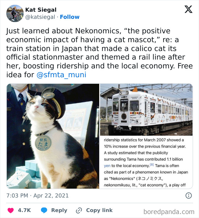 The World May Be Negative Sometimes, So Here Are 34 Adorable Tweets That May Bring Some Joy The World May Be Negative Sometimes, So Here Are 34 Adorable Tweets That May Bring Some Joy