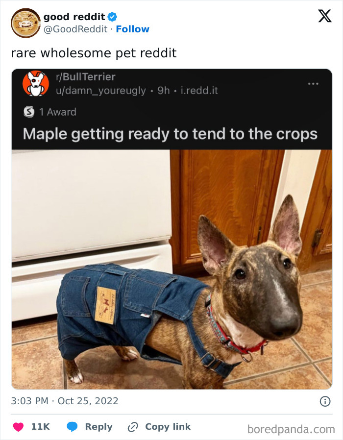 The World May Be Negative Sometimes, So Here Are 34 Adorable Tweets That May Bring Some Joy The World May Be Negative Sometimes, So Here Are 34 Adorable Tweets That May Bring Some Joy