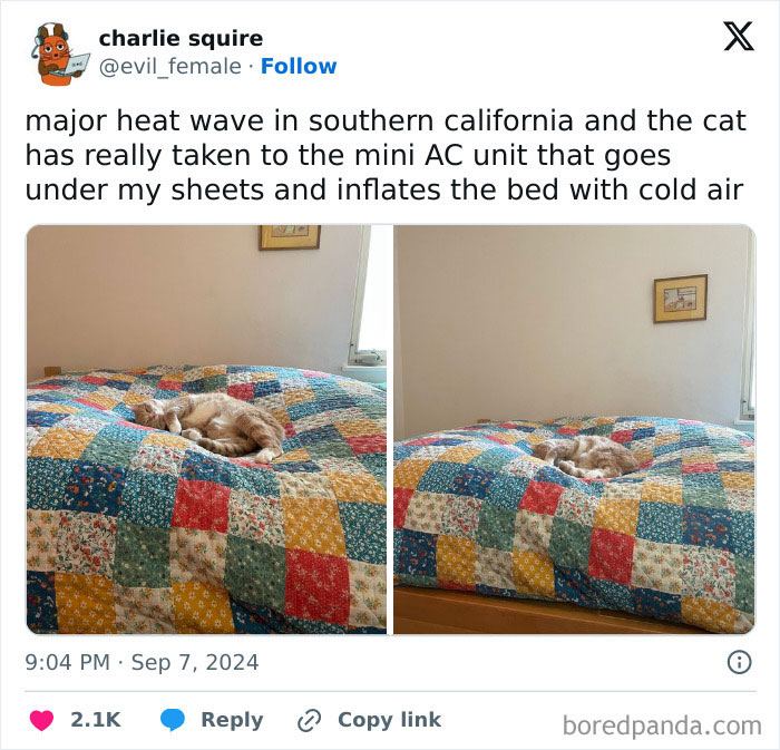 The World May Be Negative Sometimes, So Here Are 34 Adorable Tweets That May Bring Some Joy The World May Be Negative Sometimes, So Here Are 34 Adorable Tweets That May Bring Some Joy