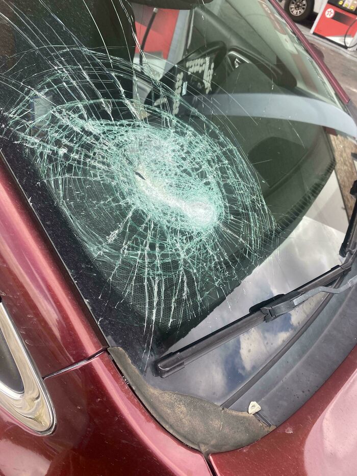 If You Think You&rsquo;re Having A Terrible Day, These People Beg To Differ (New Pics)