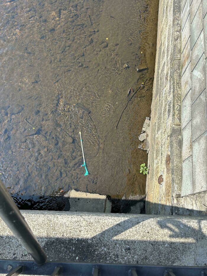 If You Think You&rsquo;re Having A Terrible Day, These People Beg To Differ (New Pics)