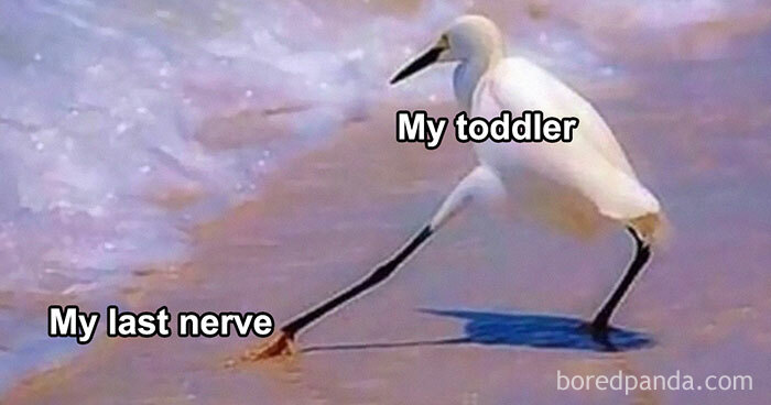 35 Funny Memes That Show Just How Chaotic Parenting Is, Courtesy Of This Popular Facebook Page 35 Funny Memes That Show Just How Chaotic Parenting Is, Courtesy Of This Popular Facebook Page