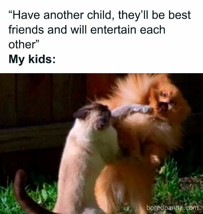 35 Funny Memes That Show Just How Chaotic Parenting Is, Courtesy Of This Popular Facebook Page 35 Funny Memes That Show Just How Chaotic Parenting Is, Courtesy Of This Popular Facebook Page