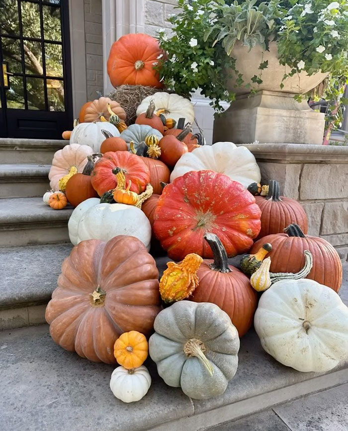 Mother Who Charges Over $1,000 For Halloween Pumpkin Displays Sparks Anger: “Ridiculous” Mother Who Charges Over $1,000 For Halloween Pumpkin Displays Sparks Anger: “Ridiculous”