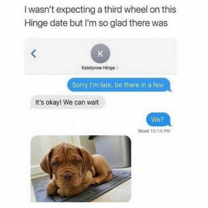 50 Memes That Dog Owners May Find Funny And Relatable 50 Memes That Dog Owners May Find Funny And Relatable