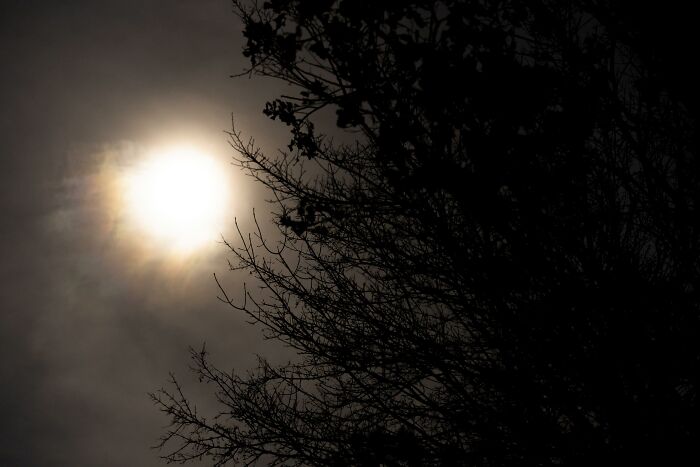 50 Disturbing Facts To Make You Want To Crawl Under Your Bed And Stay There 50 Disturbing Facts To Make You Want To Crawl Under Your Bed And Stay There