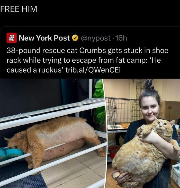 This Facebook Page Knows How To Do Memes Right, Here Are 50 Of Their Funniest Ones This Facebook Page Knows How To Do Memes Right, Here Are 50 Of Their Funniest Ones