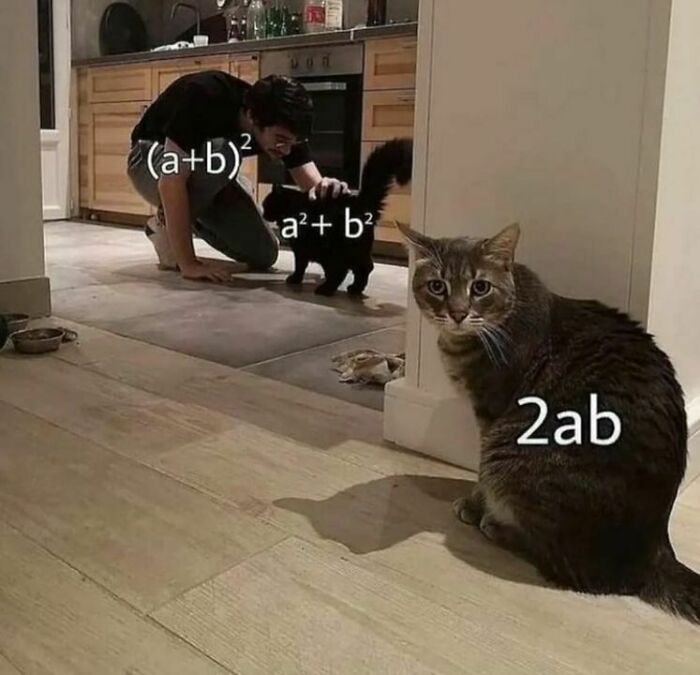 These 30 Memes May Help You Get Through Another Day Of Doing Math