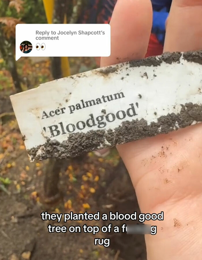 “There’s Obviously A Body”: Woman Discovers Rug In Her Yard, Suspects It May Have Human Remains “There’s Obviously A Body”: Woman Discovers Rug In Her Yard, Suspects It May Have Human Remains