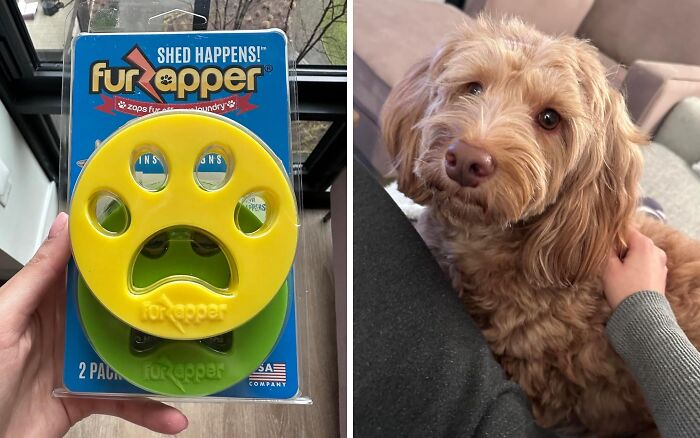 It Seems Like Every Day There Is Something New To See, And We Have 23 Of The Best Ones