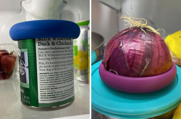 It Seems Like Every Day There Is Something New To See, And We Have 23 Of The Best Ones