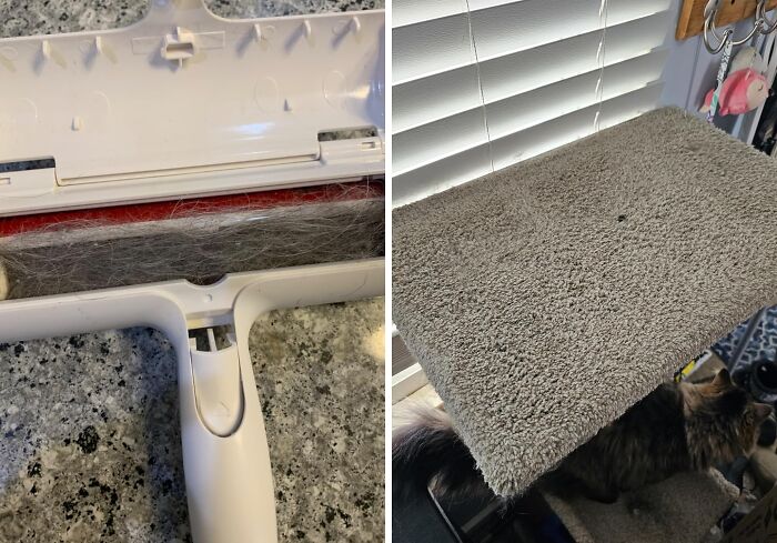 100 Amazon Finds That Will Make You Say, “Shut Up and Take My Money!” 100 Amazon Finds That Will Make You Say, “Shut Up and Take My Money!”