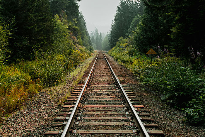 “One Of The Most Terrifying Experiences”: Things People Swear They’ve Seen But Nobody Believes Them “One Of The Most Terrifying Experiences”: Things People Swear They’ve Seen But Nobody Believes Them