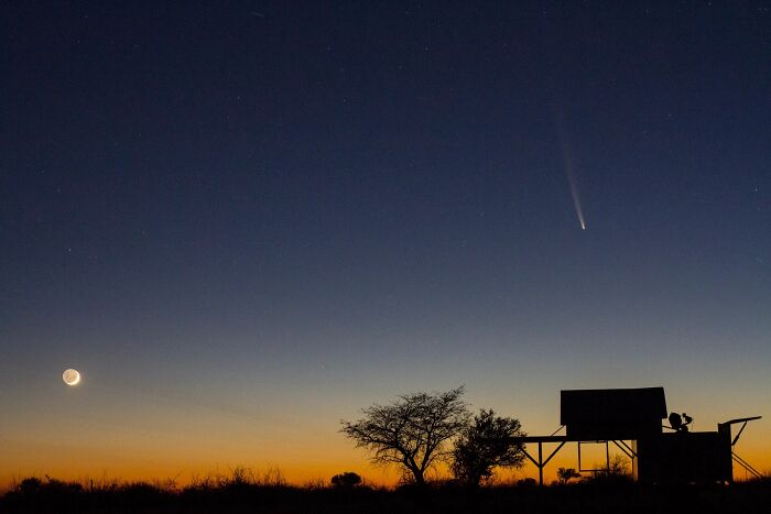 Stargazers Will Have The Chance To Spot Probably The Most Impressive Comet Of The Year Stargazers Will Have The Chance To Spot Probably The Most Impressive Comet Of The Year