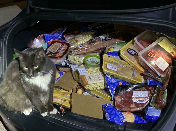 50 Times Folks Didn’t Regret Going ‘Dumpster Diving’ Because They Scored True Treasures (New Pics) 50 Times Folks Didn’t Regret Going ‘Dumpster Diving’ Because They Scored True Treasures (New Pics)