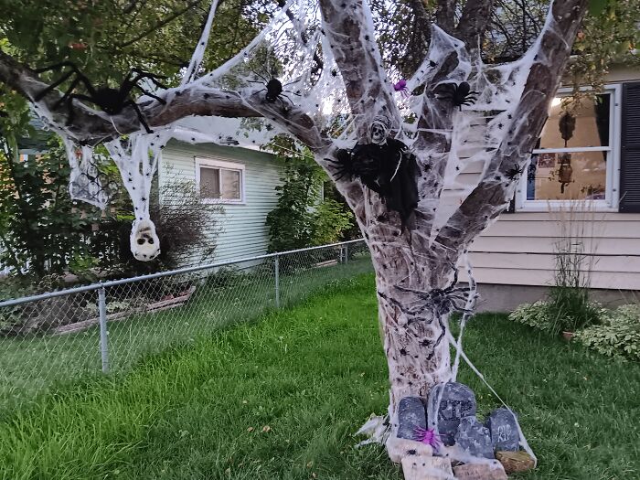 Hey Pandas, Show Us Your Boos