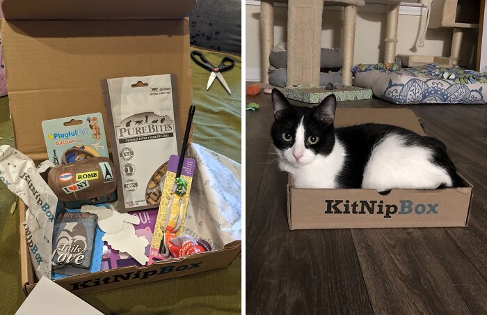 16 Fun Subscription Boxes That Hook You Up With Everything From Socks To Snacks