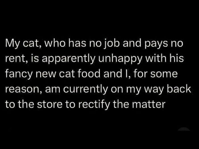 This FB Page Is Home To Hilarious Cat-Centered Memes, And Here Are 50 Of The Most Purr-Fect Ones This FB Page Is Home To Hilarious Cat-Centered Memes, And Here Are 50 Of The Most Purr-Fect Ones